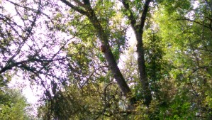 Simple pleasures, savored, matter so much.