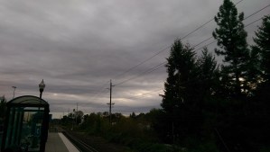 "Dress appropriately"