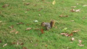 We choose where to direct our attention and our efforts; there are a lot of options.