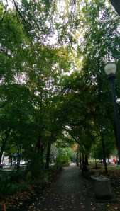 Another perspective on a sunny day.