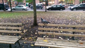 We interrupt this program...