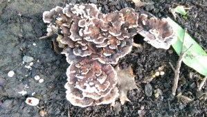 When conditions are right, growth happens.