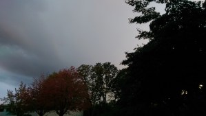 Our storms are not without value; it is after the rain falls that mushrooms grow.