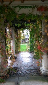 A journey, a path, a way, an experience.