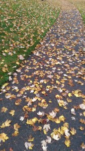 "Like dreams dying.." I said bleakly one day. "Like dreams drifting within reach" she replied with love and compassion.