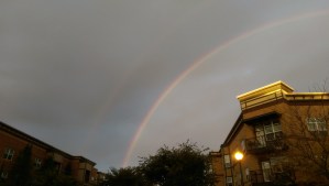 Rainy days sometimes have rainbows.