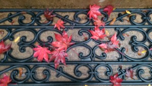 What do you see when you look at the patterns in your life; your choices, or circumstance?