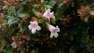 Sometimes the truth isn't grand, or illuminating.