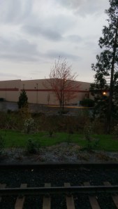 Disappointing as storms go, but cold enough to warn of winter days to come.