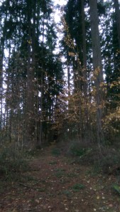 A path, a journey, a moment.