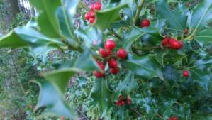 Searching for the positive, finding stickers and thorns.