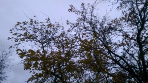 It's all about perspective. What we choose to look at changes what we see.