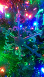 The only snowflake I'm likely to see this holiday season.