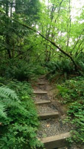 The path isn't straight, the destination isn't obvious, but the journey must continue.