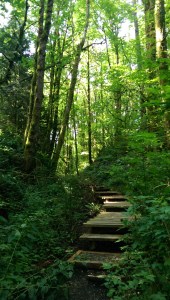 One step at a time...