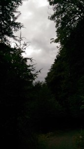 Stormy weather...