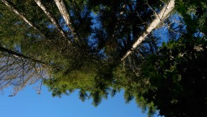 A goal, a dream, a chance, a yearning; perspective still ends up being a very useful tool.