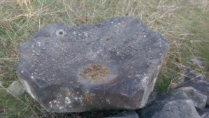 A fusion of nature and craftsmanship.