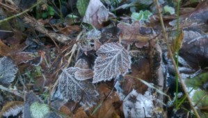 Winter has her lessons, too.