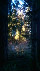 Sometimes illumination seems so near... other time, it seems a distant possibility, seen just beyond some challenge.