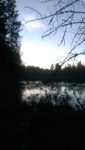 Winter reflections.