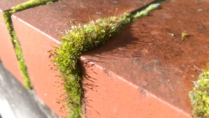 Tiny worlds exist between one perspective and another along my way.