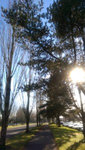 A moment of illumination is sometimes not so easy.