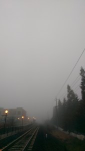 Walking in fog; it's a metaphor.