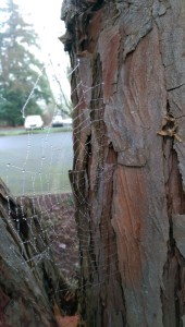 One detail of this fragile 'now'.