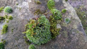 Small details sometimes have big impact.