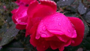 Mmmm...Love, love, and loving. 