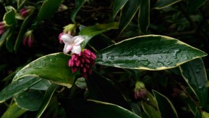 "Each time for the first time, each moment the only moment." Jon Kabat-Zinn