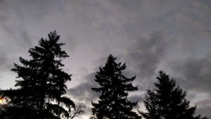 Perspective matters; we are each having our own experience.