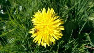 Wrapping this one up on a positive note; perspective matters, too. 