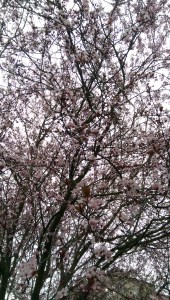 So often things seem more complicated than 'this versus that'. Perspective matters. Relevance matters. Compassion matters.