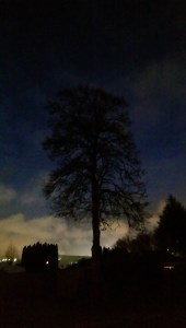 Each having our own experience...