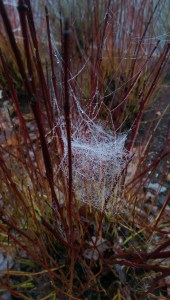 Strength isn't always what I expect it to be.