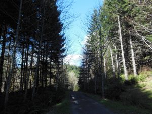 It's worth enjoying the best the journey has to offer, no matter the weather.