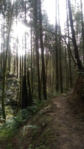 The path isn't always well-marked...