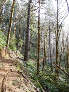 The journey is not without challenges; the challenges do not detract from it's beauty.