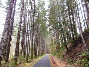 It's about where the question leads, not about the answer.