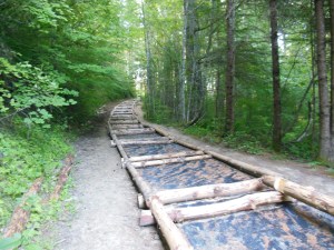 Building the path as I walk it.