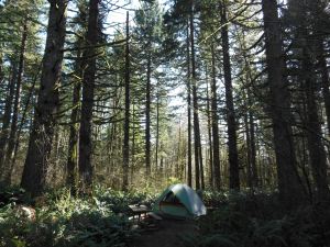 One perspective on home.