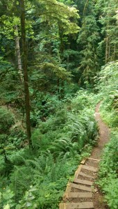 We each walk our own path, paved with our own choices.