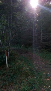 More questions than answers, and seeking illumination with a beginner's mind...