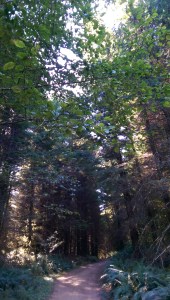 Whatever else may be true, we each walk our own path, and we choose it.