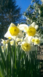 A picture perfect spring day. Who defines perfection?