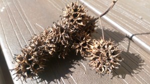 This moment was lovely...