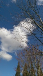 One spring moment of many, with all the possibility and potential of any new moment.