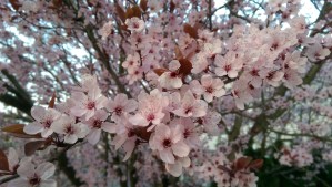 Perspective promises so much... there are still verbs involved.